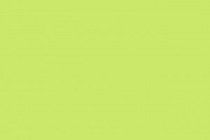 4223301478_60747fb227_o
